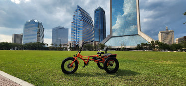 New Modern Trends E-Trikes Addmotor M-360 Electric Trike in Jacksonville
